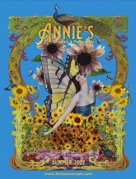 Annie's Annuals 2023 Seed Catalog
