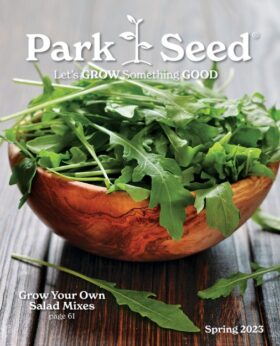 Park Seed 2023 Big Seed Spring Book